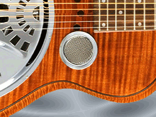 Dobro Lessons at your home in North East