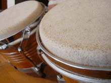 Percussions & Hand Drums Lessons at your home or at our Music School in Laval- St-François/St-Vincent