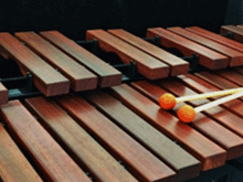 Cours de xylophone à notre école ou à votre domicile dans la région de Montréal