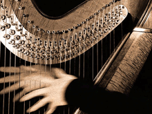 Harp Lessons at your home or at our Music School in Mascouche