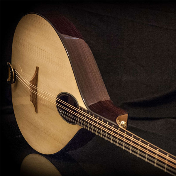 Bouzouki (Irish) Lessons in Outremont at Home 