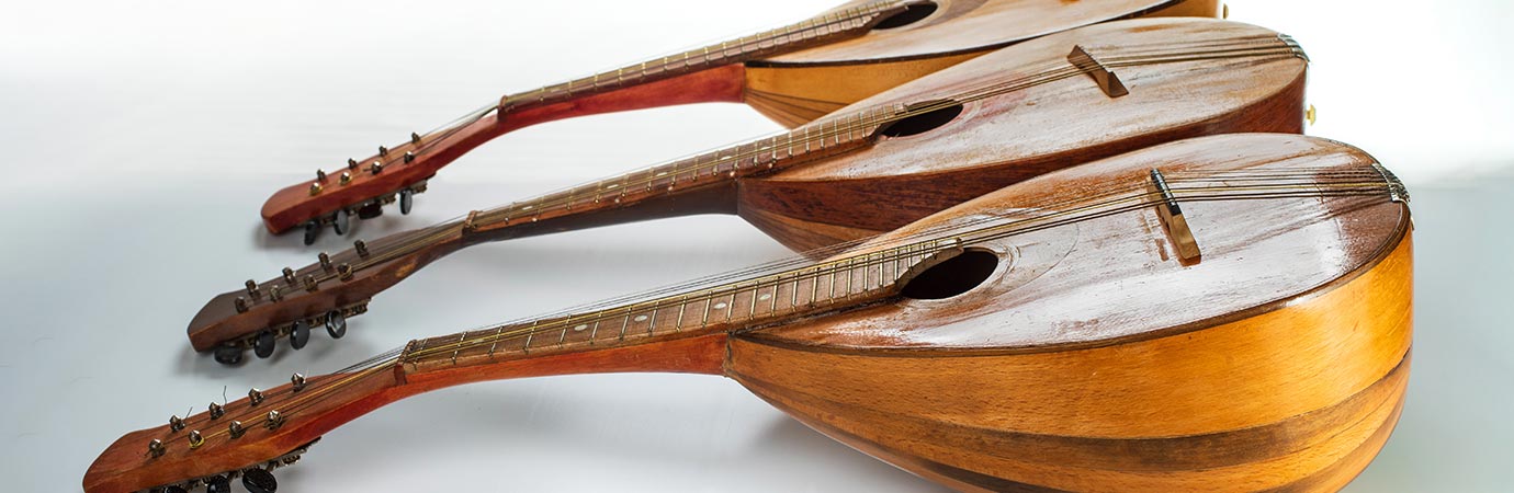Mandolin Lessons at your home or at our Rive-Sud Longueuil Music School