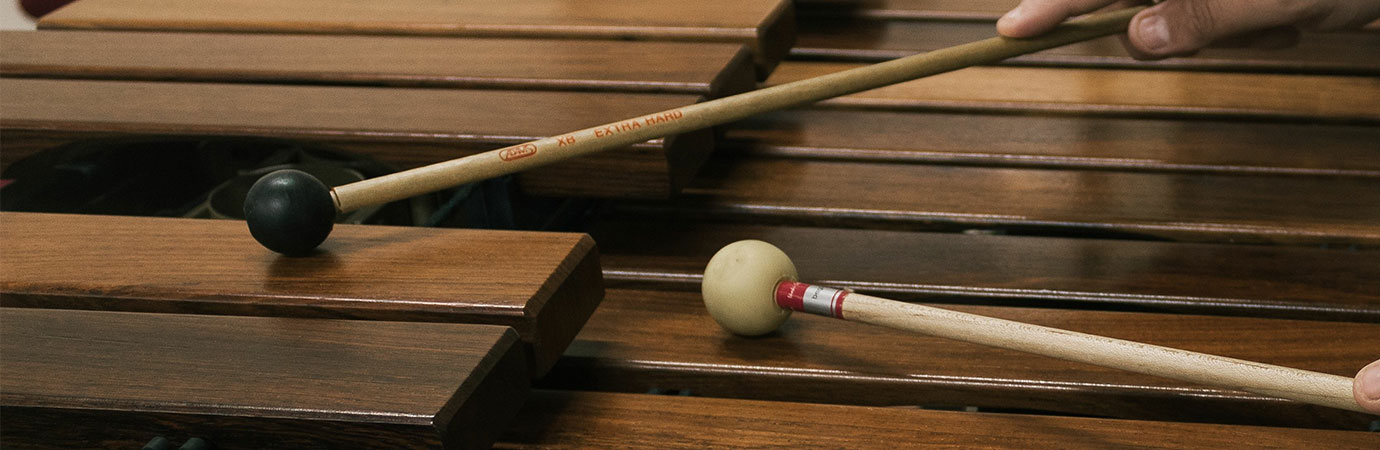 Xylophone Lessons in Hochelaga/Maisonneuve at Home