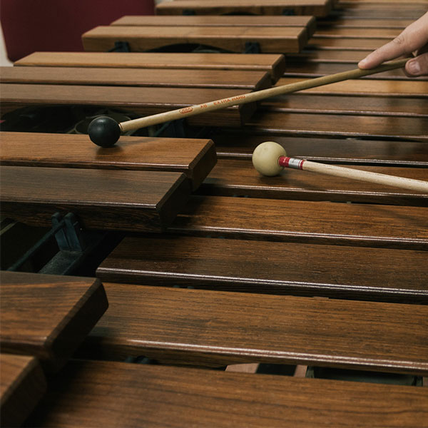 Xylophone Lessons in Hochelaga/Maisonneuve at Home 