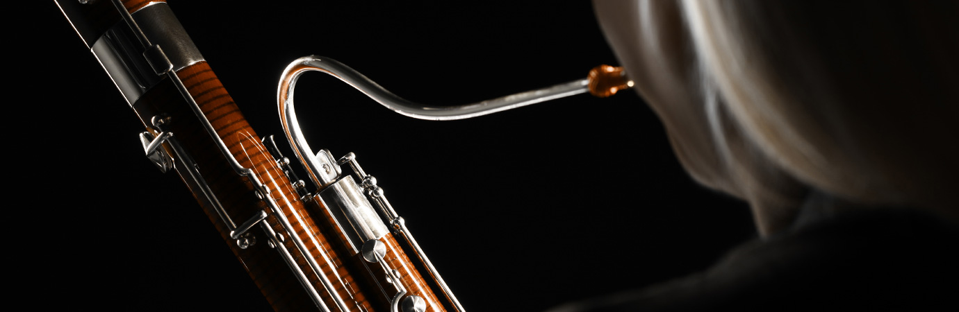Bassoon Lessons at your home or at our Rive-Sud Longueuil Music School