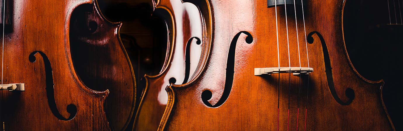 Upright bass Lessons in Rive-Sud Longueuil at Home