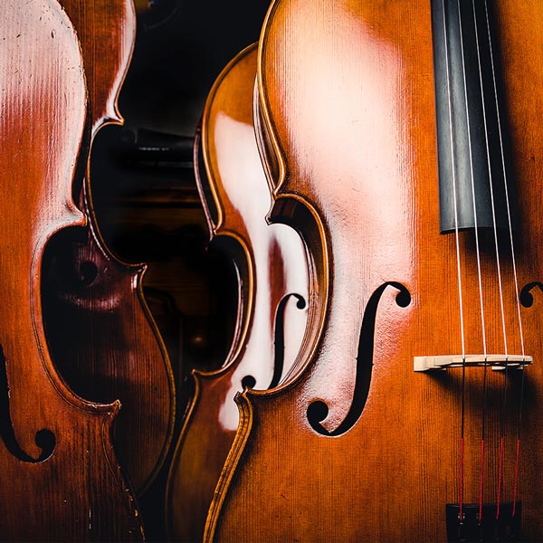 Upright bass Lessons in Rive-Sud Longueuil at Home 