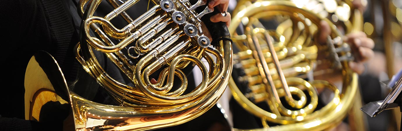French Horn Lessons in Rive-Sud Longueuil at Home