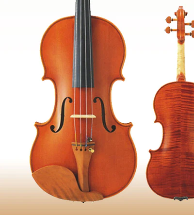 Winds & Strings Lessons